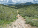 photo thumbnail #5
