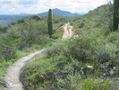 photo thumbnail #6