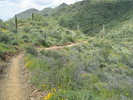 photo thumbnail #8