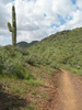 photo thumbnail #9