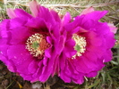 photo thumbnail #15
