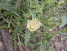 photo thumbnail #13
