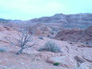 photo thumbnail #10