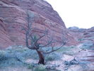 photo thumbnail #11