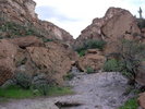 photo thumbnail #15