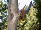 photo thumbnail #4