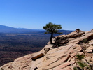 photo thumbnail #8