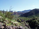 photo thumbnail #3