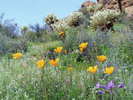 photo thumbnail #4