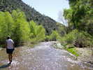 photo thumbnail #6