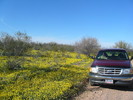 photo thumbnail #2