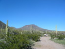 photo thumbnail #4
