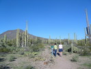 photo thumbnail #5