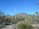 photo thumbnail #6