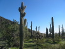 photo thumbnail #8