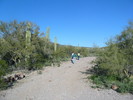 photo thumbnail #9