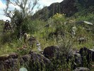 photo thumbnail #13