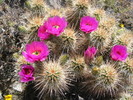 photo thumbnail #7