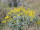 photo thumbnail #9