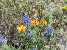 photo thumbnail #10