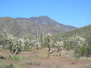 photo thumbnail #4