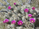 photo thumbnail #8