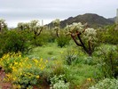 photo thumbnail #2