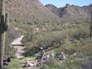 photo thumbnail #7