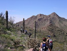 photo thumbnail #9