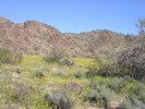 photo thumbnail #10