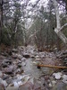 photo thumbnail #14