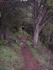 photo thumbnail #15
