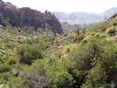 photo thumbnail #7