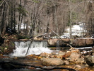 photo thumbnail #1