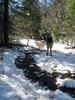 photo thumbnail #2