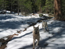 photo thumbnail #3