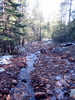 photo thumbnail #8