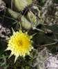 photo thumbnail #13