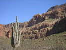photo thumbnail #14