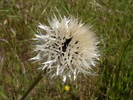 photo thumbnail #15