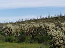 photo thumbnail #2