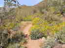 photo thumbnail #1