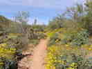 photo thumbnail #2