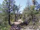 photo thumbnail #3