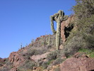 photo thumbnail #8