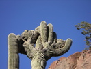 photo thumbnail #9
