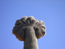 photo thumbnail #12