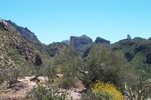 recent photo