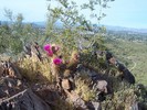 photo thumbnail #10