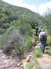 photo thumbnail #6